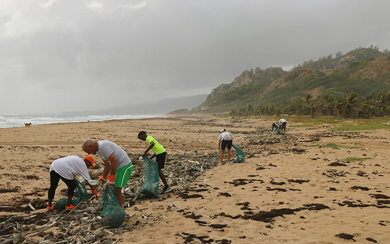 Pessoas fazendo limpeza voluntária em uma praia.