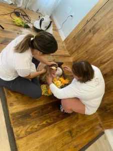 duas mulheres de camisa branca tocando em um recém nascido