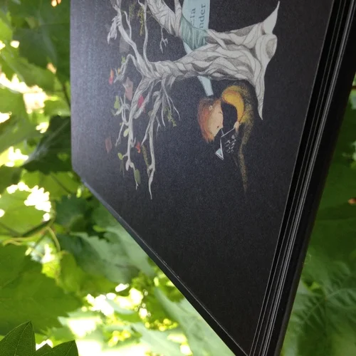 imagem de livro preto com ilustração colorida em laranja, branco e amarelo